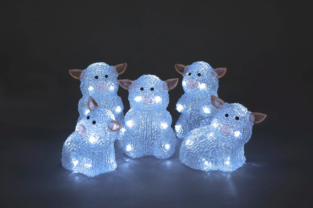 Set of 5 Acrylic Piglets with 50 White LED's