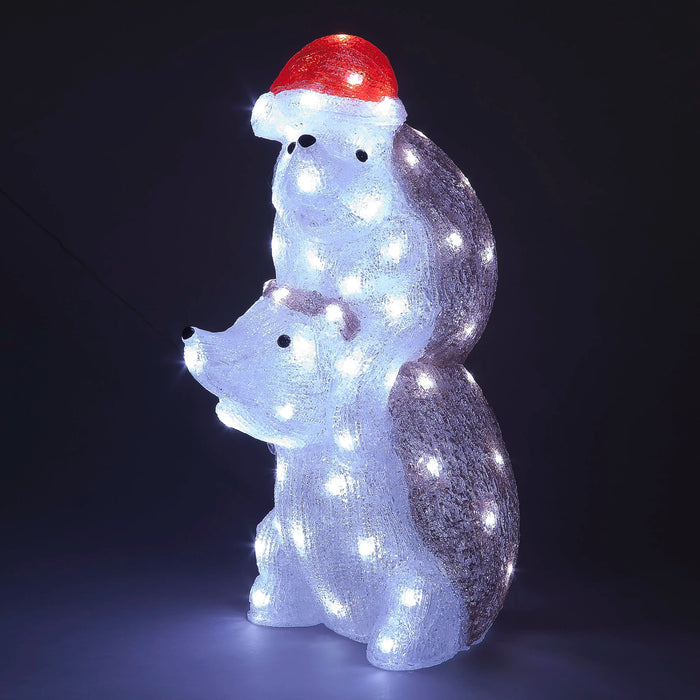 50cm Acrylic Hedgehog Duo