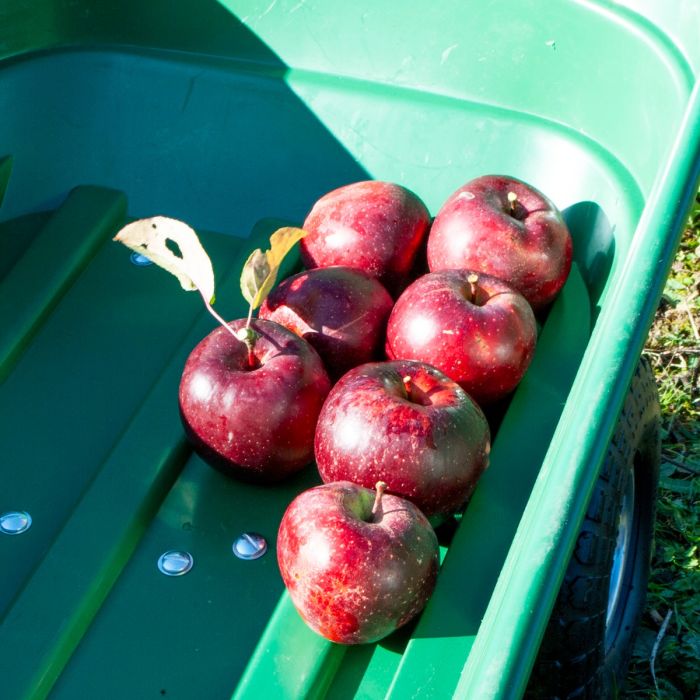 Garden Dump Trolley