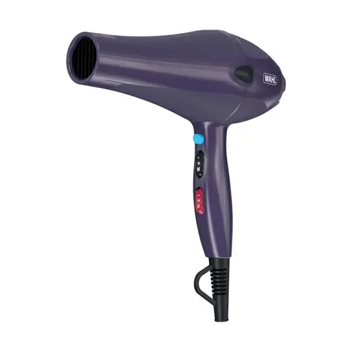 WL0145 - 2200W Ionic Style Hair Dryer
